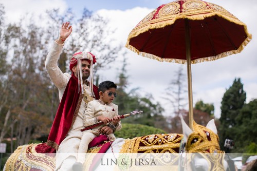 baraat-horse