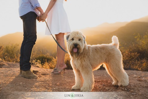 engagement-photo-prop-ideas