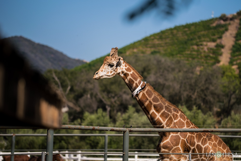 03 Saddlerock Ranch Malibu Wedding Photography