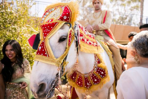 Enchanted Carriages