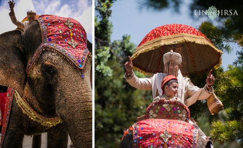 baraat-elephant