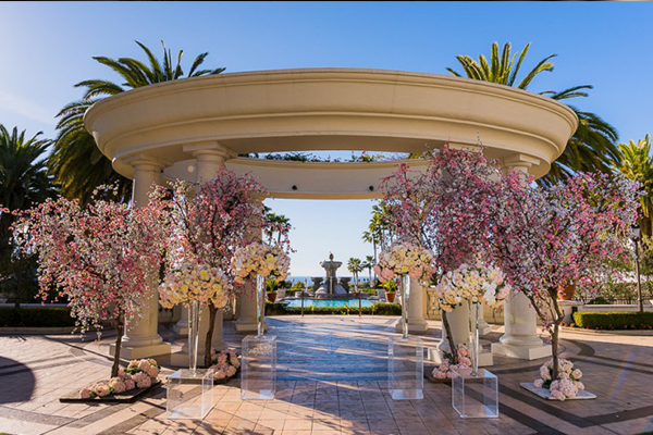Mele Amore Weddings and Events | Wedding Planning