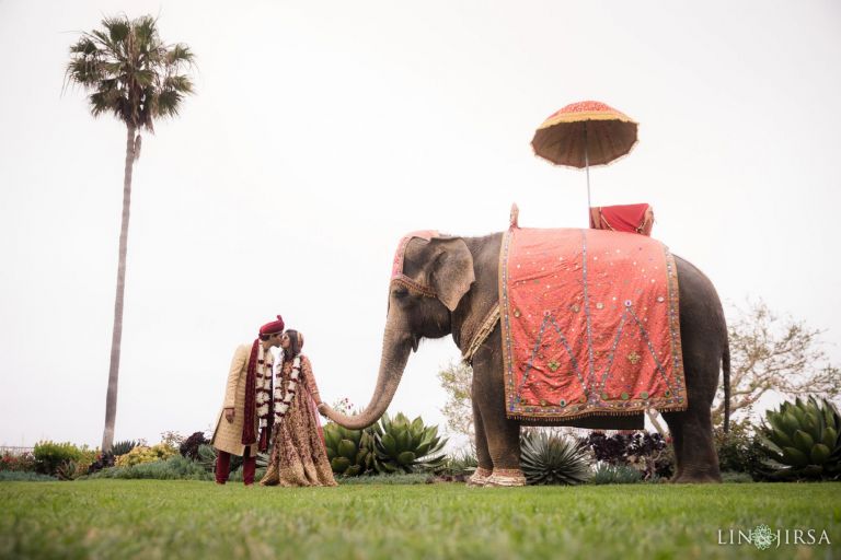 Shilpa Patel Events | Event Coordinator