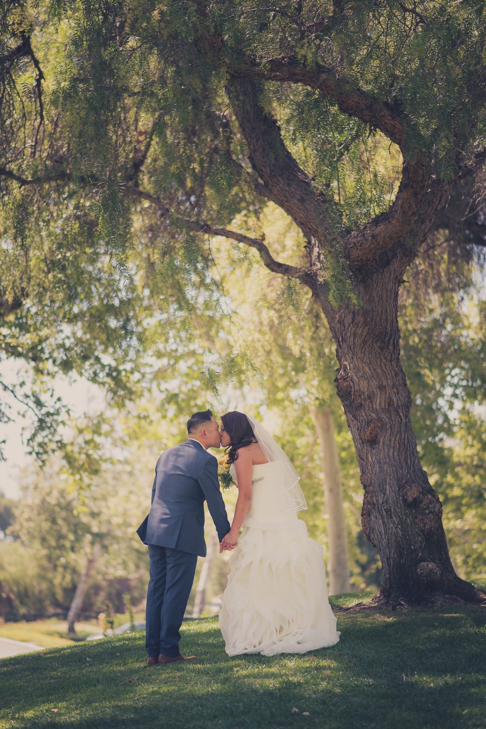 summit house bride groom photo